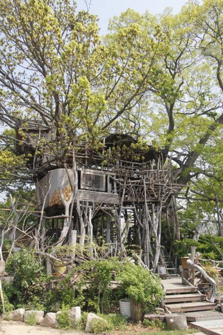 Gimje Mizuno San'S Tree Houseヴィラ エクステリア 写真