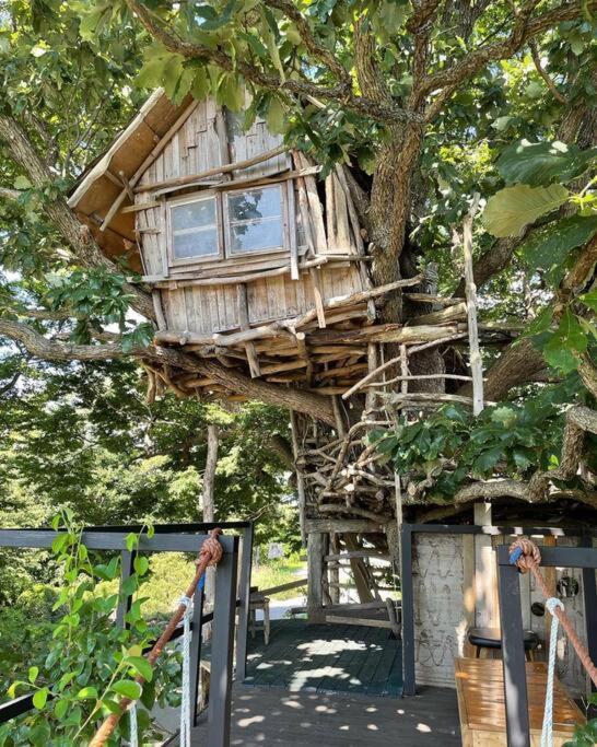 Gimje Mizuno San'S Tree Houseヴィラ エクステリア 写真