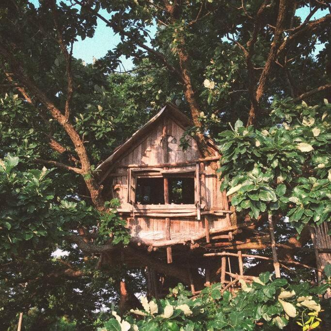 Gimje Mizuno San'S Tree Houseヴィラ エクステリア 写真