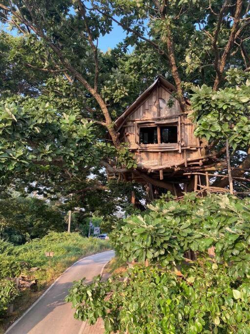 Gimje Mizuno San'S Tree Houseヴィラ エクステリア 写真